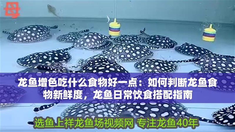 龍魚增色吃什么食物好一點：如何判斷龍魚食物新鮮度，龍魚日常飲食搭配指南