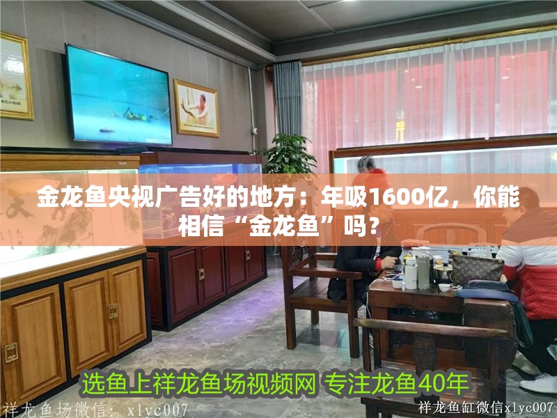 金龍魚央視廣告好的地方：年吸1600億，你能相信“金龍魚”嗎？