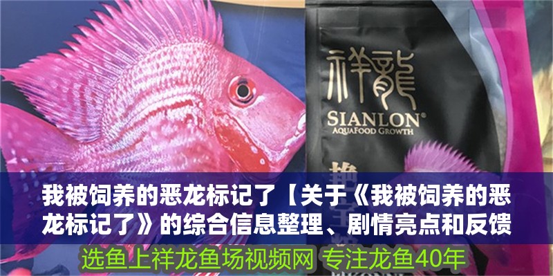 我被飼養的惡龍標記了【關于《我被飼養的惡龍標記了》的綜合信息整理、劇情亮點和反饋等內容】