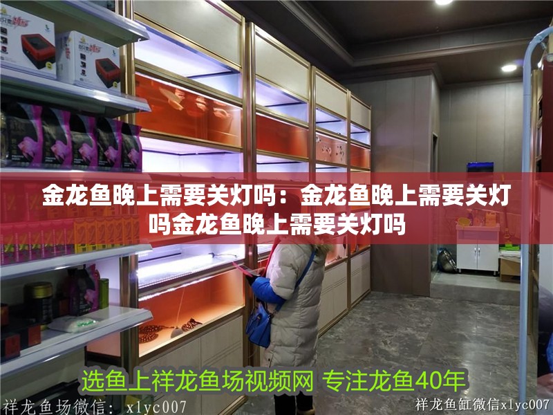 金龍魚晚上需要關燈嗎：金龍魚晚上需要關燈嗎金龍魚晚上需要關燈嗎