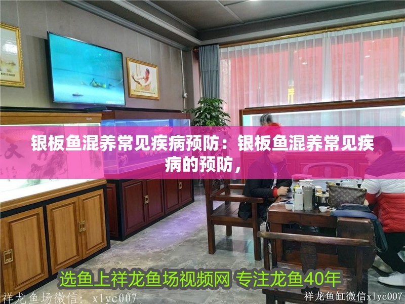 銀板魚混養常見疾病預防：銀板魚混養常見疾病的預防， 銀板魚混養常見疾病預防：銀板魚混養常見疾病的預防， 龍魚百科