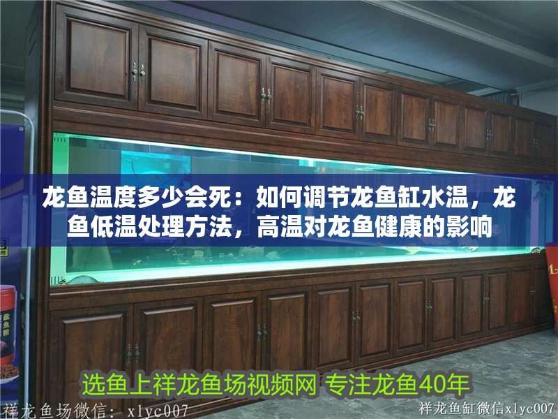 龍魚溫度多少會死：如何調(diào)節(jié)龍魚缸水溫，龍魚低溫處理方法，高溫對龍魚健康的影響