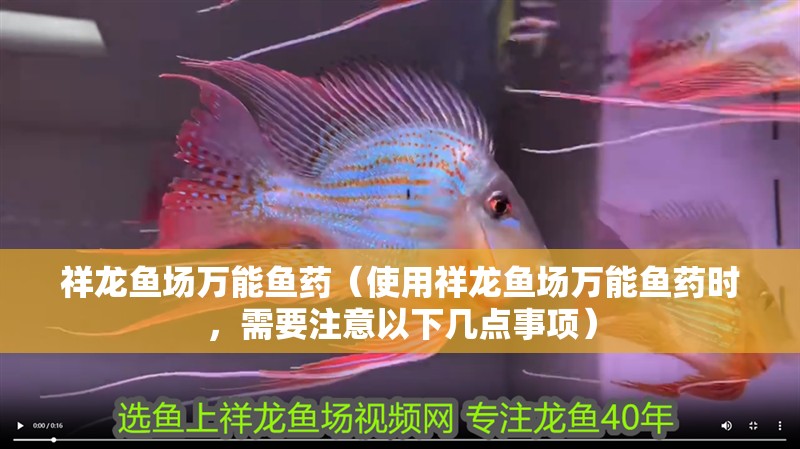 祥龍魚場(chǎng)萬能魚藥（使用祥龍魚場(chǎng)萬能魚藥時(shí)，需要注意以下幾點(diǎn)事項(xiàng)）