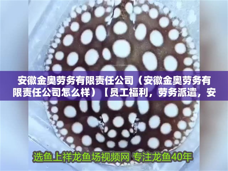安徽金奧勞務有限責任公司（安徽金奧勞務有限責任公司怎么樣）【員工福利，勞務派遣，安徽金奧勞務有限責任公司】
