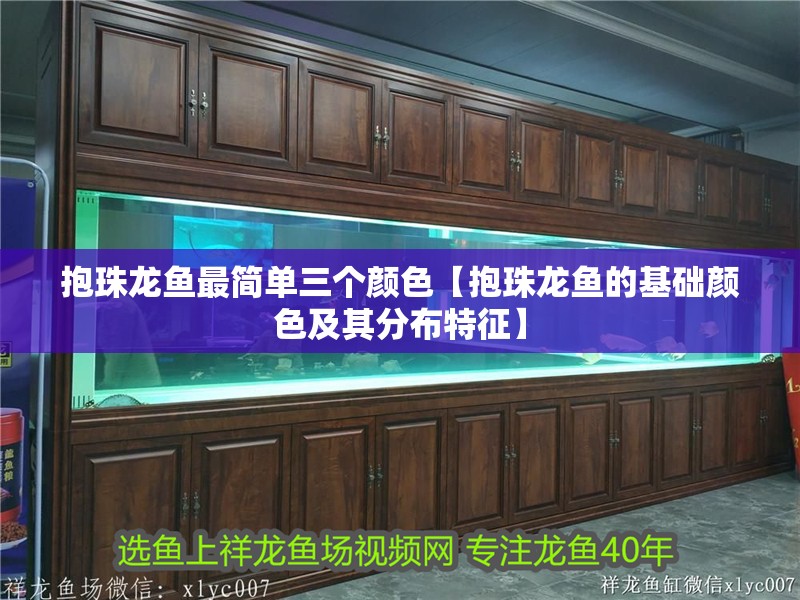 抱珠龍魚最簡單三個顏色【抱珠龍魚的基礎顏色及其分布特征】