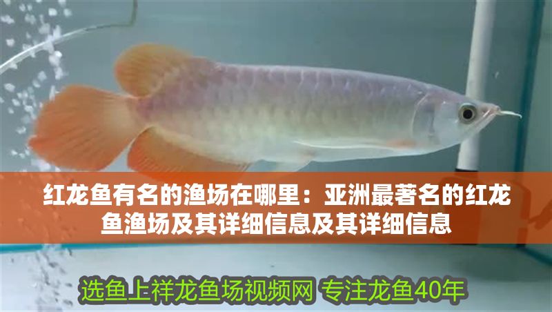 紅龍魚有名的漁場在哪里：亞洲最著名的紅龍魚漁場及其詳細信息及其詳細信息