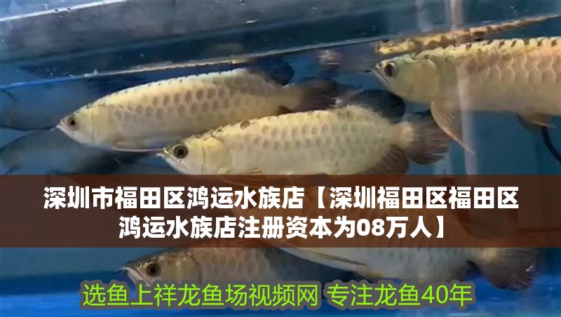 深圳市福田區(qū)鴻運(yùn)水族店【深圳福田區(qū)福田區(qū)鴻運(yùn)水族店注冊(cè)資本為08萬(wàn)人】