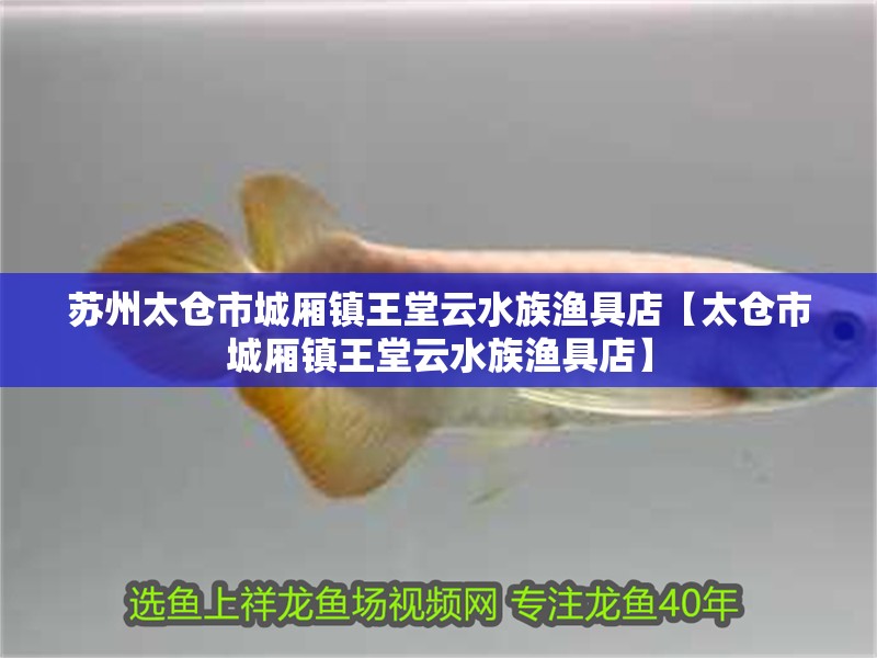 魚缸用增氧泵價格是多少:魚缸增氧機-xtrac增氧機-xtrac增氧機 蘇州太倉市城廂鎮王堂云水族漁具店【太倉市城廂鎮王堂云水族漁具店】 全國水族館企業名錄 蘇州太倉市城廂鎮王堂云水族漁具店【太倉市城廂鎮王堂云水族漁具店】 蘇州太倉市城廂鎮王堂云水族漁具店【太倉市城廂鎮王堂云水族漁具店】 全國水族館企業名錄