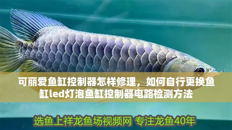 可麗愛魚缸控制器怎樣修理，如何自行更換魚缸led燈泡魚缸控制器電路檢測方法