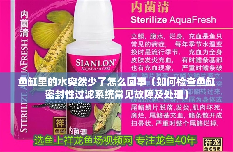 魚缸里的水突然少了怎么回事（如何檢查魚缸密封性過濾系統常見故障及處理）