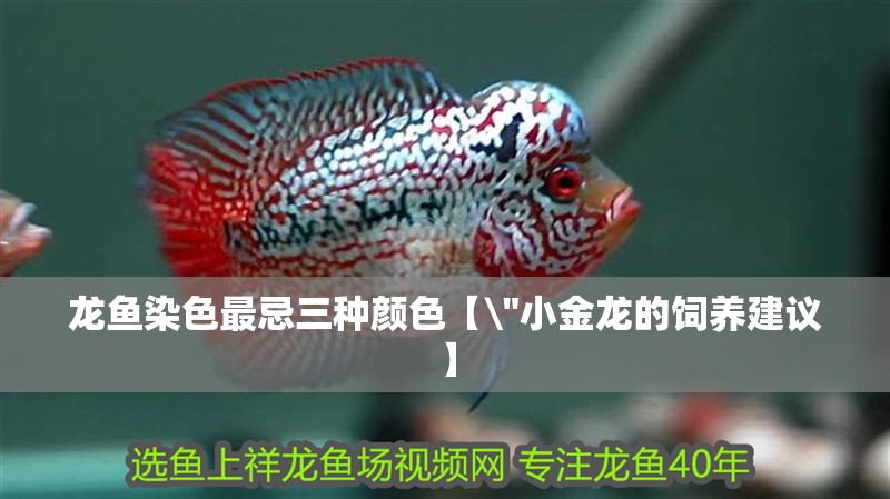 龍魚染色最忌三種顏色【\