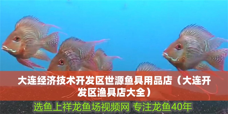 大連經濟技術開發區世源魚具用品店（大連開發區漁具店大全） 大連經濟技術開發區世源魚具用品店（大連開發區漁具店大全） 全國水族館企業名錄