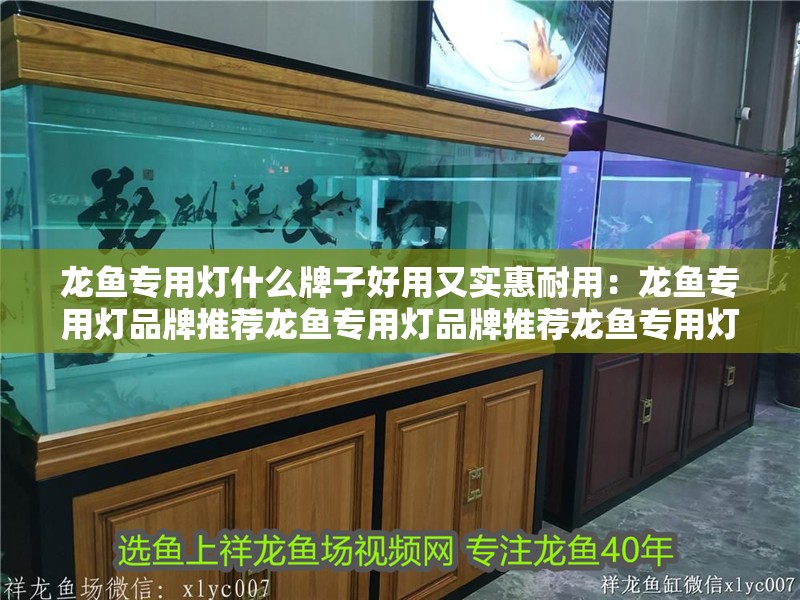 龍魚專用燈什么牌子好用又實惠耐用：龍魚專用燈品牌推薦龍魚專用燈品牌推薦龍魚專用燈