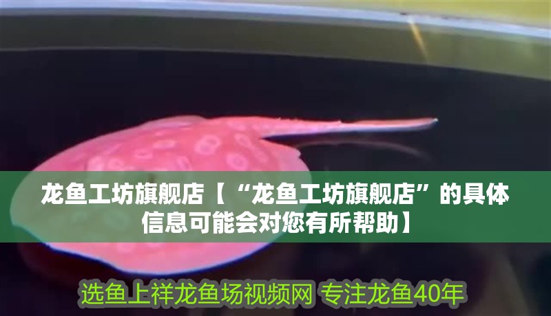 龍魚工坊旗艦店【“龍魚工坊旗艦店”的具體信息可能會對您有所幫助】 龍魚工坊旗艦店【“龍魚工坊旗艦店”的具體信息可能會對您有所幫助】 龍魚百科