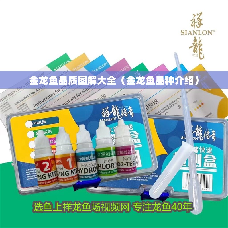 金龍魚品質(zhì)圖解大全（金龍魚品種介紹）