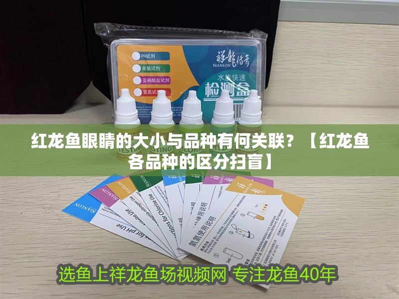 紅龍魚(yú)眼睛的大小與品種有何關(guān)聯(lián)？【紅龍魚(yú)各品種的區(qū)分掃盲】