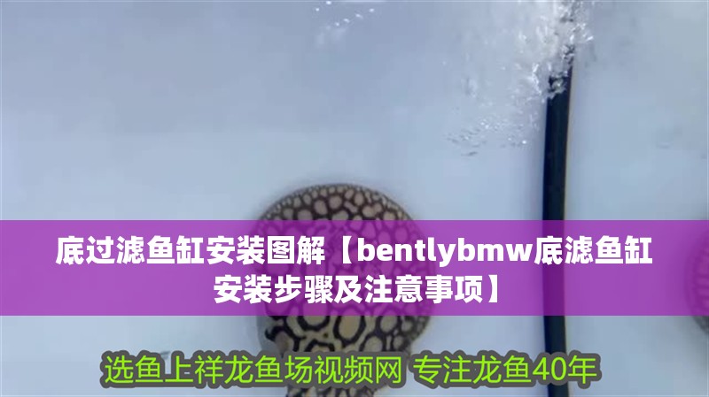 底過濾魚缸安裝圖解【bentlybmw底濾魚缸安裝步驟及注意事項】
