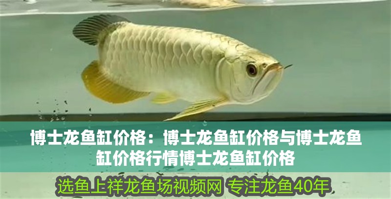 博士龍魚缸價格：博士龍魚缸價格與博士龍魚缸價格行情博士龍魚缸價格
