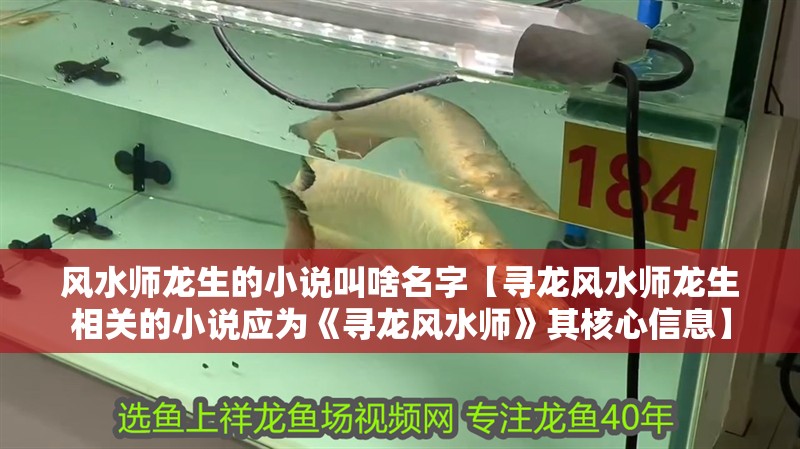 風(fēng)水師龍生的小說叫啥名字【尋龍風(fēng)水師龍生相關(guān)的小說應(yīng)為《尋龍風(fēng)水師》其核心信息】