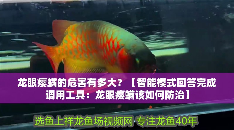 虎魚天天黑來點(diǎn)赤瞳黃金 龍眼癭螨的危害有多大?【智能模式回答完成調(diào)用工具:龍眼癭螨該如何防治】 龍魚論壇 龍眼癭螨的危害有多大?【智能模式回答完成調(diào)用工具:龍眼癭螨該如何防治】 龍眼癭螨的危害有多大?【智能模式回答完成調(diào)用工具:龍眼癭螨該如何防治】 龍魚論壇