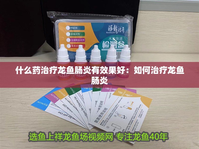 什么藥治療龍魚腸炎有效果好：如何治療龍魚腸炎