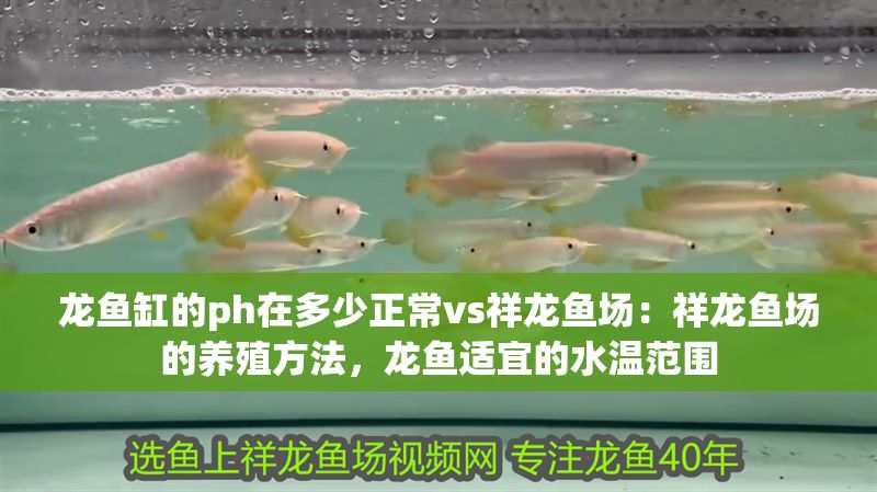 龍魚缸的ph在多少正常vs祥龍魚場：祥龍魚場的養殖方法，龍魚適宜的水溫范圍