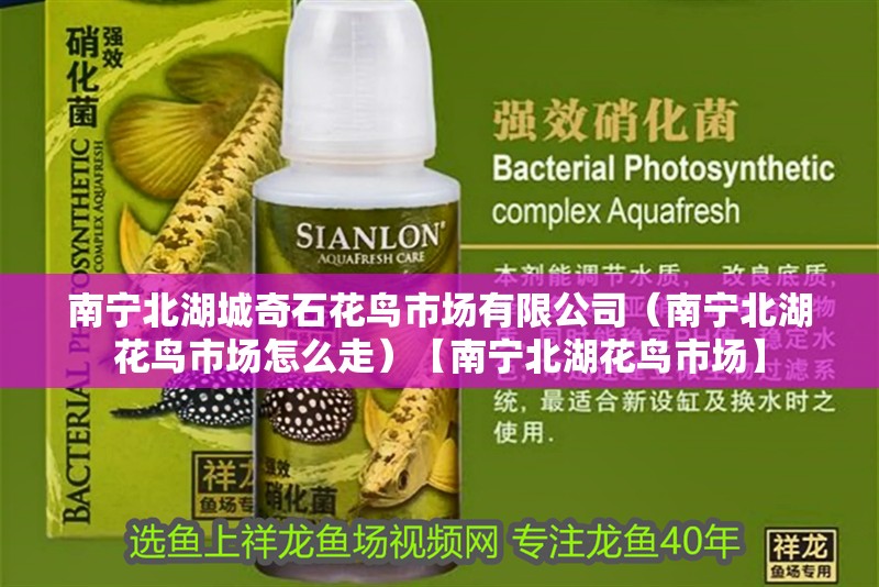 南寧<strong><mark>北湖</mark></strong>城奇石花鳥市場有限公司（南寧<strong><mark>北湖</mark></strong>花鳥市場怎么走）【南寧<strong><mark>北湖</mark></strong>花鳥市場】