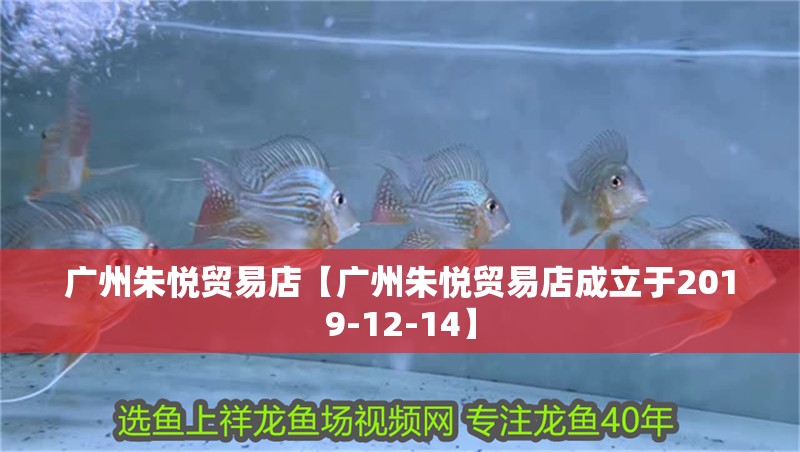 廣州朱悅貿易店【廣州朱悅貿易店成立于2019-12-14】