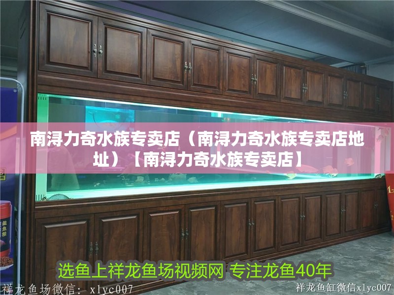 鸚鵡魚和銀龍魚混養怎樣喂食 南潯力奇水族專賣店(南潯力奇水族專賣店地址)【南潯力奇水族專賣店】 全國水族館企業名錄 南潯力奇水族專賣店(南潯力奇水族專賣店地址)【南潯力奇水族專賣店】 南潯力奇水族專賣店(南潯力奇水族專賣店地址)【南潯力奇水族專賣店】 全國水族館企業名錄