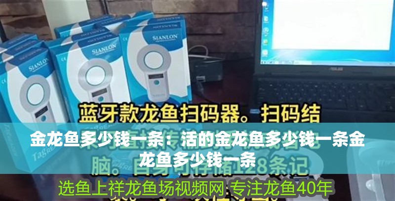 金龍魚多少錢一條：活的金龍魚多少錢一條金龍魚多少錢一條