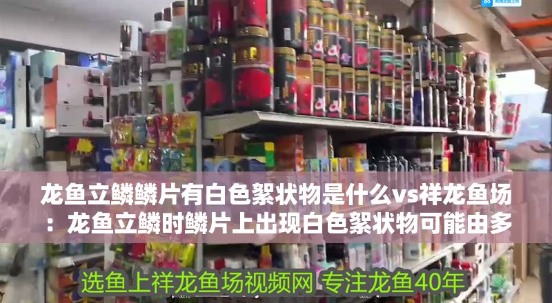 龍魚立鱗鱗片有白色絮狀物是什么vs祥龍魚場：龍魚立鱗時鱗片上出現白色絮狀物可能由多種因素引起