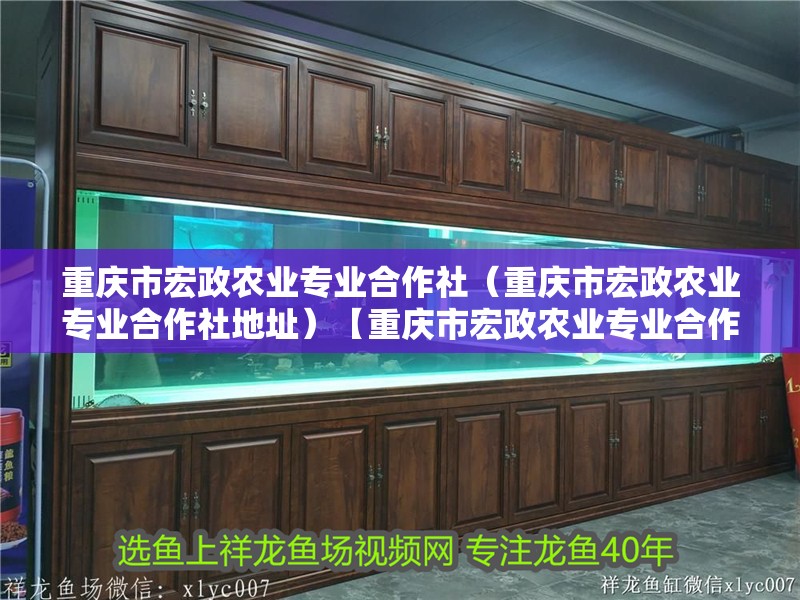 重慶市宏政農業專業合作社（重慶市宏政農業專業合作社地址）【重慶市宏政農業專業合作社】