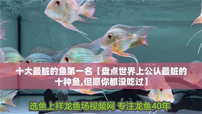十大最臟的魚第一名【盤點(diǎn)世界上公認(rèn)最臟的十種魚,但愿你都沒吃過】