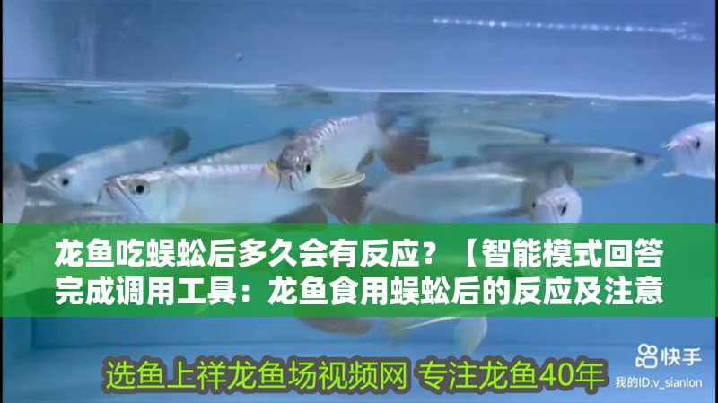 龍魚吃蜈蚣后多久會有反應？【智能模式回答完成調(diào)用工具：龍魚食用蜈蚣后的反應及注意事項】