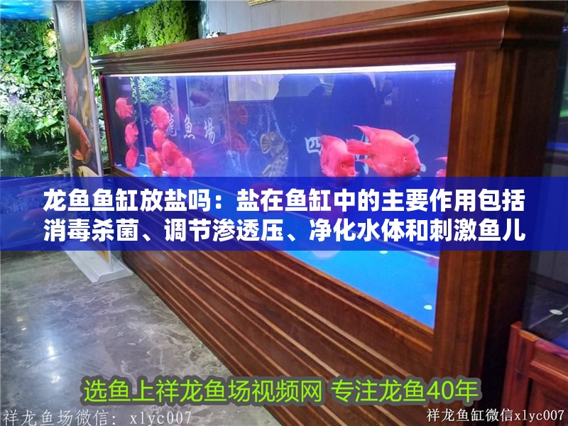 龍魚魚缸放鹽嗎：鹽在魚缸中的主要作用包括消毒殺菌、調節滲透壓、凈化水體和刺激魚兒的食欲