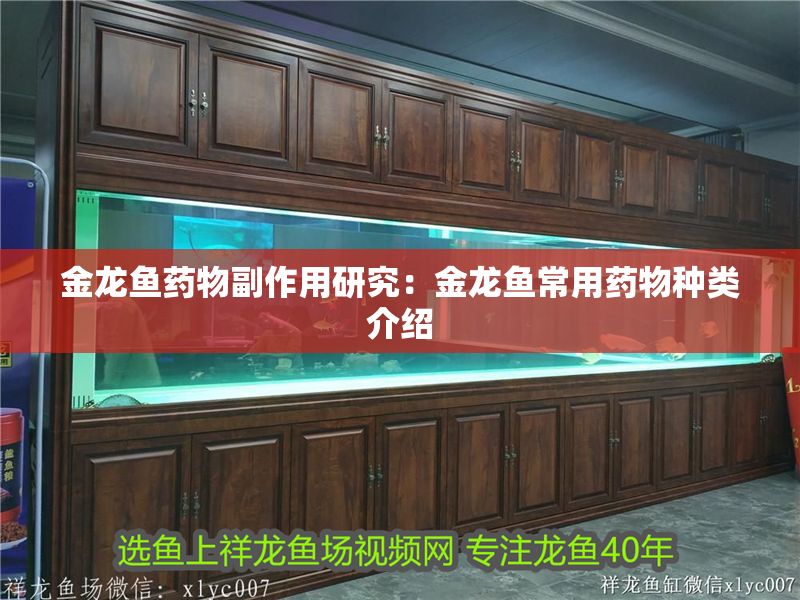 金龍魚藥物副作用研究：金龍魚常用藥物種類介紹