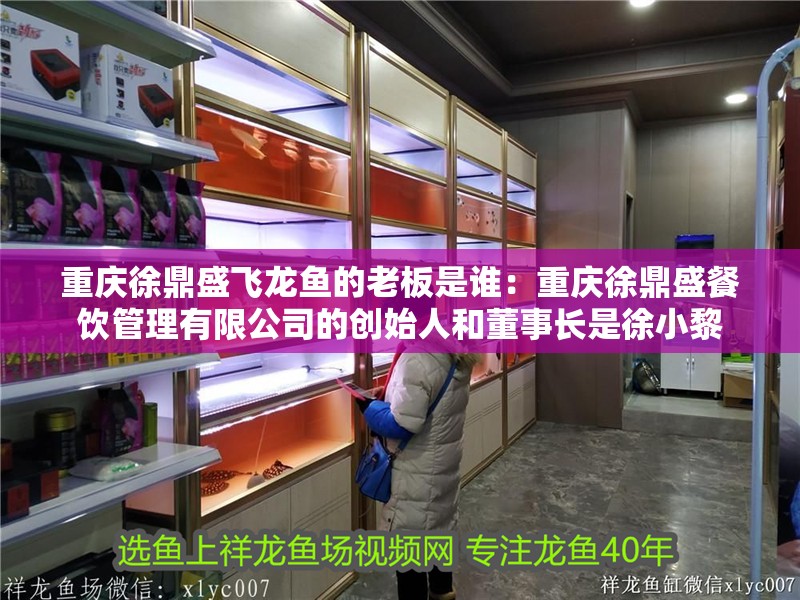 重慶徐鼎盛飛龍魚的老板是誰：重慶徐鼎盛餐飲管理有限公司的創始人和董事長是徐小黎 重慶徐鼎盛飛龍魚的老板是誰：重慶徐鼎盛餐飲管理有限公司的創始人和董事長是徐小黎 龍魚百科