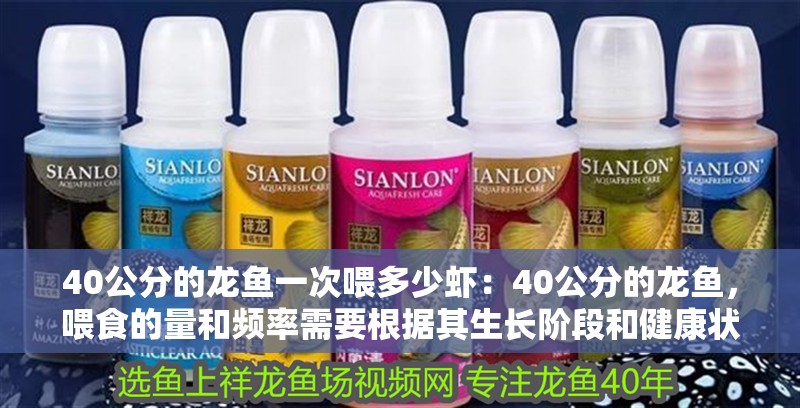 40公分的龍魚一次喂多少蝦：40公分的龍魚，喂食的量和頻率需要根據(jù)其生長階段和健康狀況決定