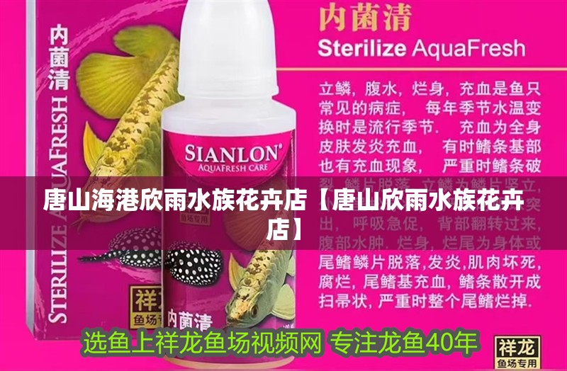 魚缸過濾器選購指南:自制魚缸過濾器魚缸上置過濾器對于養魚愛好者的必備知識 唐山海港欣雨水族花卉店【唐山欣雨水族花卉店】 全國水族館企業名錄 唐山海港欣雨水族花卉店【唐山欣雨水族花卉店】 唐山海港欣雨水族花卉店【唐山欣雨水族花卉店】 全國水族館企業名錄