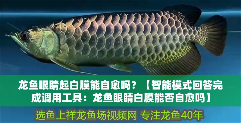 龍魚眼睛起白膜能自愈嗎？【智能模式回答完成調用工具：龍魚眼睛白膜能否自愈嗎】