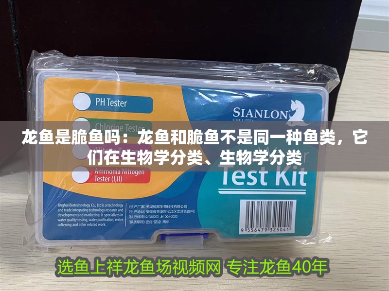 龍魚是脆魚嗎：龍魚和脆魚不是同一種魚類，它們在生物學分類、生物學分類
