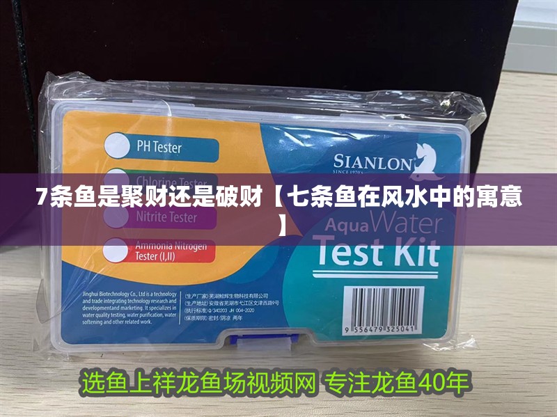 7條魚是聚財還是破財【七條魚在風水中的寓意】
