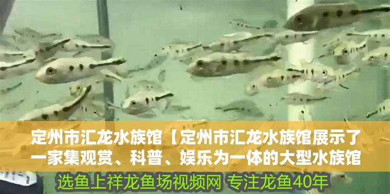 定州市匯龍水族館【定州市匯龍水族館展示了一家集觀賞、科普、娛樂為一體的大型水族館】