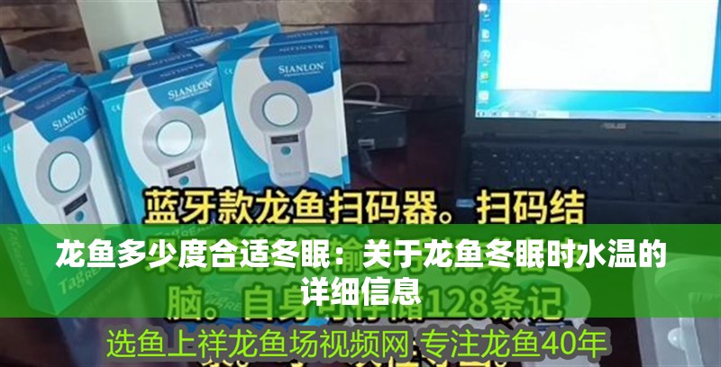 龍魚多少度合適冬眠：關于龍魚冬眠時水溫的詳細信息