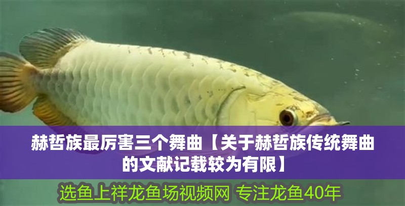 赫哲族最厲害三個(gè)舞曲【關(guān)于赫哲族傳統(tǒng)舞曲的文獻(xiàn)記載較為有限】