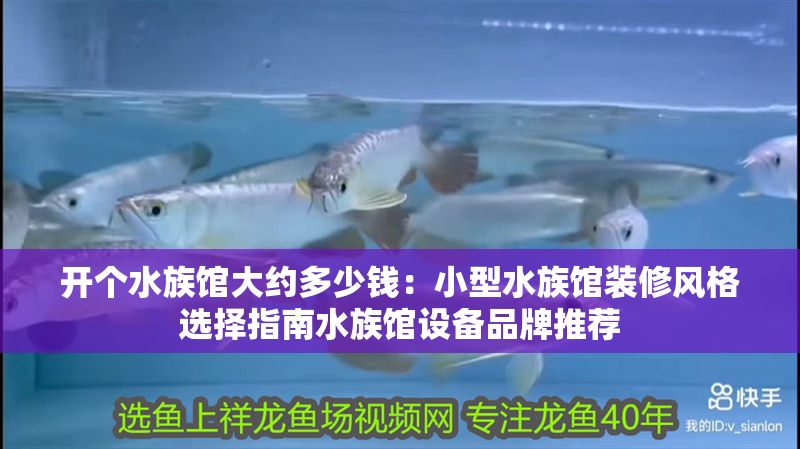 開個水族館大約多少錢：小型水族館裝修風格選擇指南水族館設備品牌推薦 開個水族館大約多少錢：小型水族館裝修風格選擇指南水族館設備品牌推薦 水族館百科（水族館加盟） 第1張