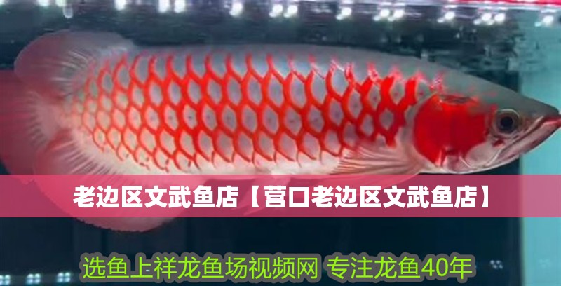 老邊區文武魚店【營口老邊區文武魚店】