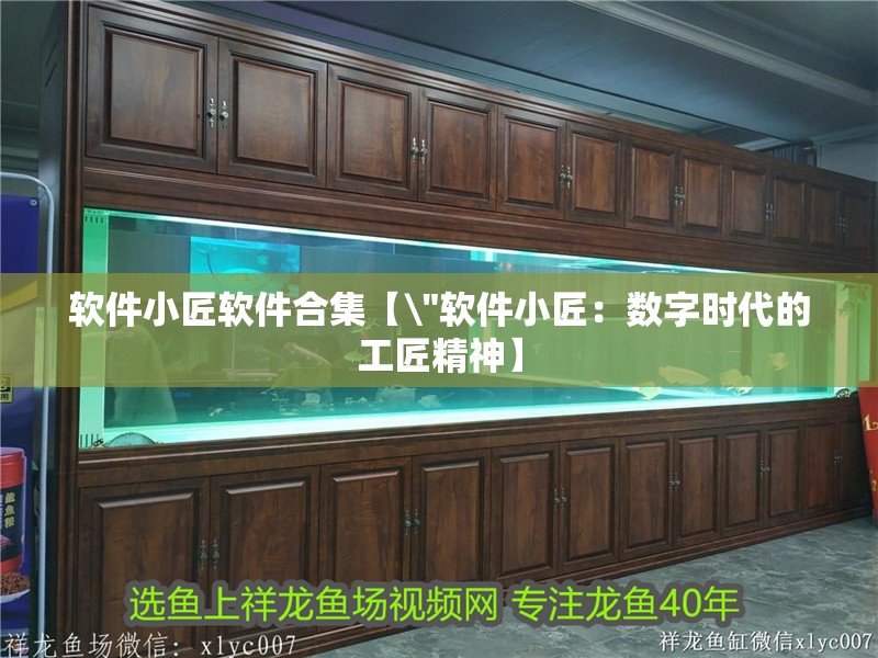 魚缸過濾器選購指南:自制魚缸過濾器魚缸上置過濾器對于養魚愛好者的必備知識 軟件小匠軟件合集【\ 軟件小匠軟件合集【 軟件小匠軟件合集【\