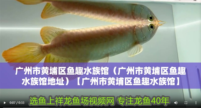 廣州市黃埔區魚趣水族館（廣州市黃埔區魚趣水族館地址）【廣州市黃埔區魚趣水族館】 廣州市黃埔區魚趣水族館（廣州市黃埔區魚趣水族館地址）【廣州市黃埔區魚趣水族館】 全國水族館企業名錄