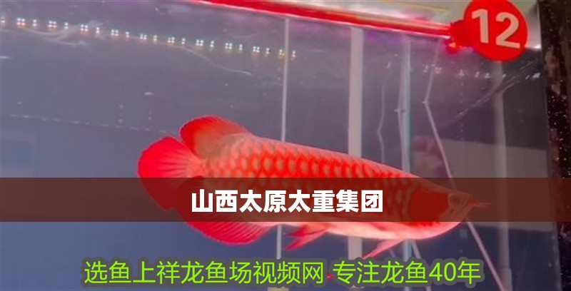 <strong><mark>山西</mark></strong>太原太重集團